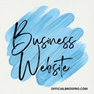 Business Website Price