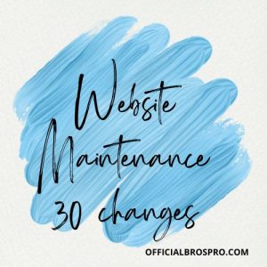 Website Maintenance 30 changes price