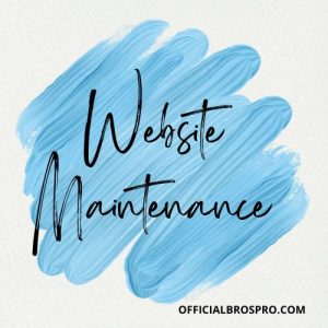 Website Maintenance Price